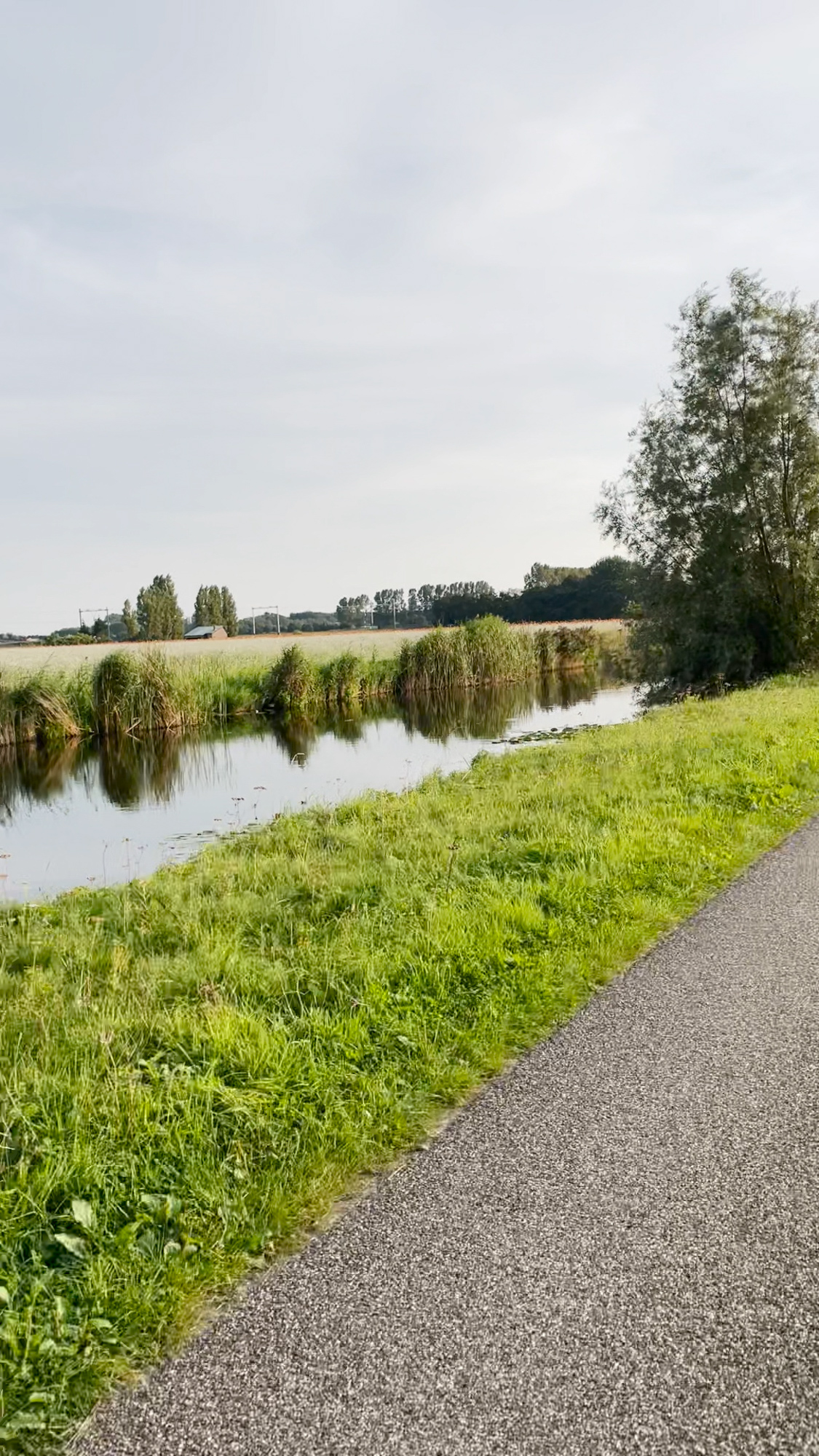 Canals near a field