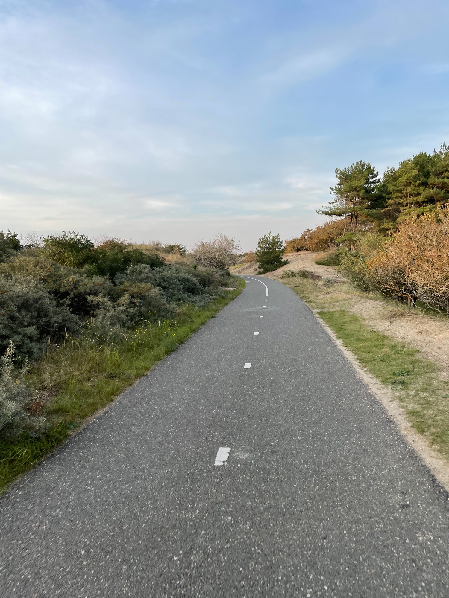 Bike Path through the dunes