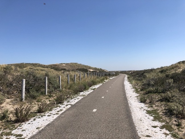 Bike path in dunes