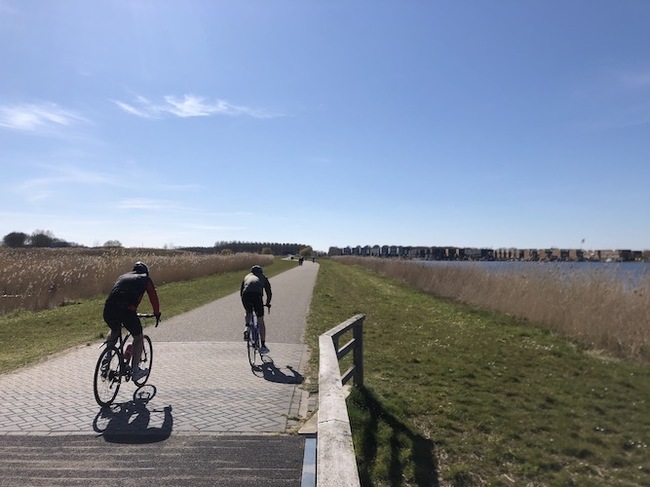 Cyclists on a bike path