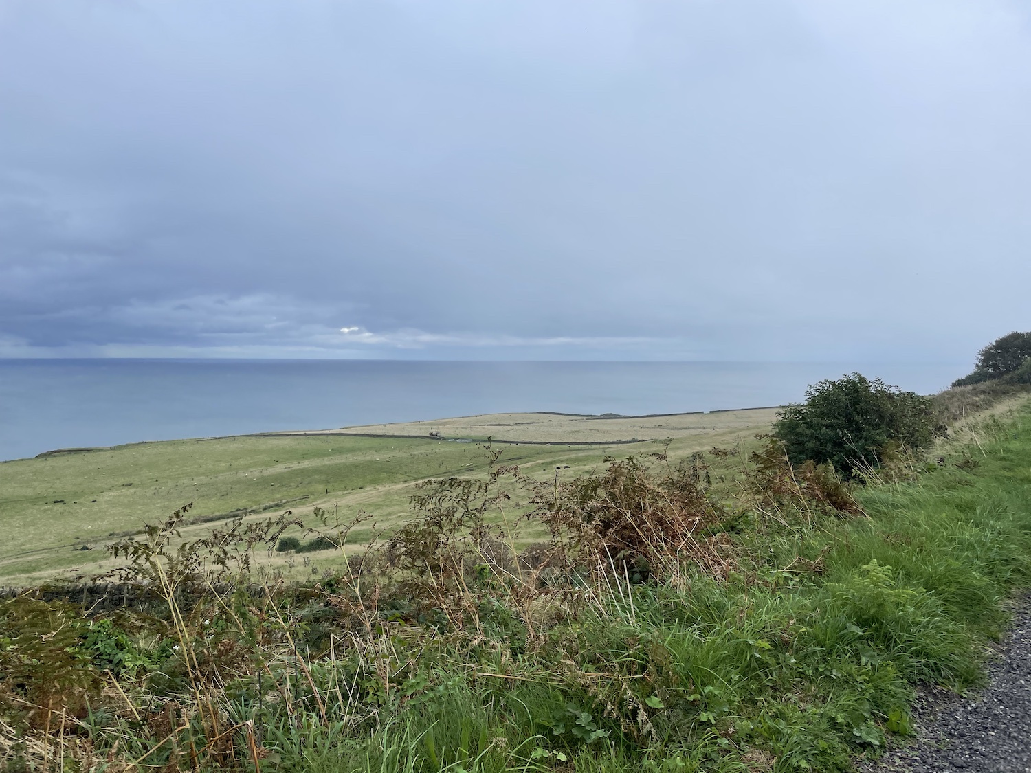 Robin Hood's Bay Sea View