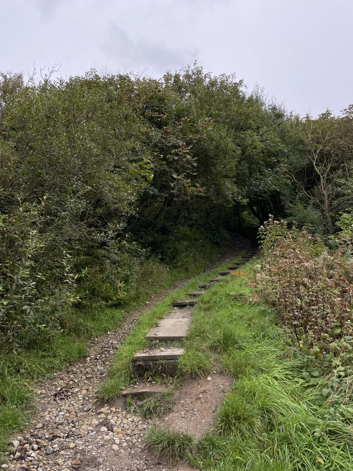 For a cyclocross this is also a bike path